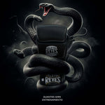 Handschoenen MMA Cleto Reyes Black Mamba Training