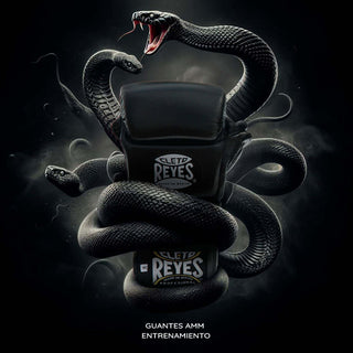 Handschoenen MMA Cleto Reyes Black Mamba Training
