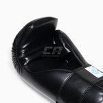 Handschoenen SAP Punt Fighting WAKO Raptor Semi Contact