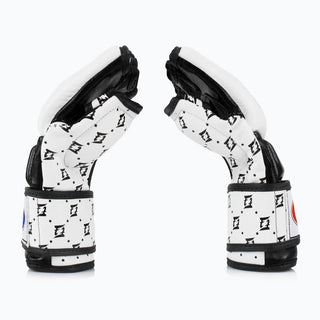 Handschoenen MMA Fairtex 4 oz FGV17 