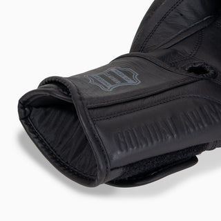 Bokshandschoenen Combat Arena Heritage 2.0 