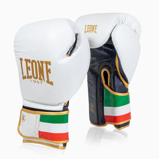 Bokshandschoenen Leone Italië GN039 