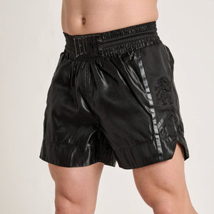Korte broek kick-thai Leone Black Lion AB999-Combat Arena