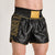 Korte broek kick-thai Leone DNA Premium AB969 Zwart-Combat Arena