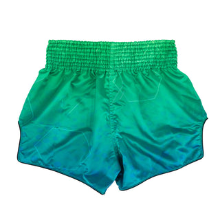 Korte broek kick-thai Fairtex BS1953 Quantum 