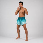 Kick-Thaiboksbroekje Fairtex BS1906 Fade Groen